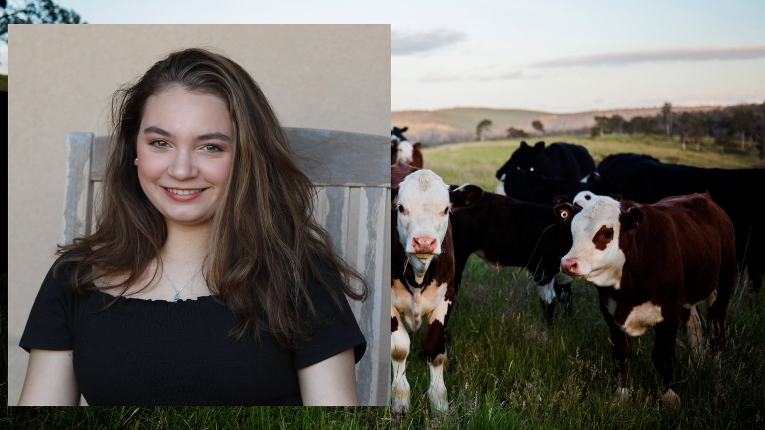 Waller County 4H participant Sarah McFarlane was awarded a $3,000 Will Looney Memorial scholarship for her hard work and success through the 4-H program.